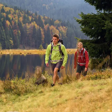 Landgasthof Kammbraeu 3* Zenting